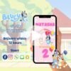 Bluey pink video invites